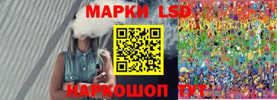 СК Новозыбков