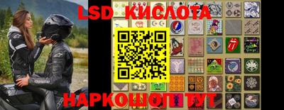 СК Новозыбков