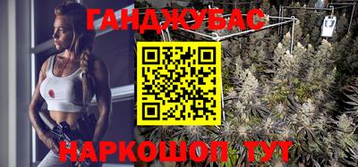 СК Новозыбков