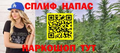 СК Новозыбков