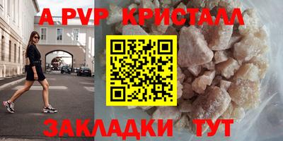 СК Новозыбков